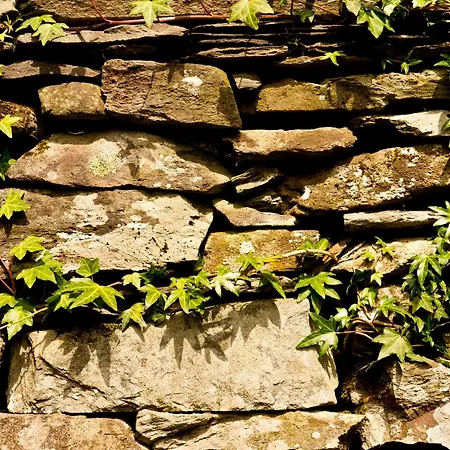 Yha Langdale * 安布尔塞德